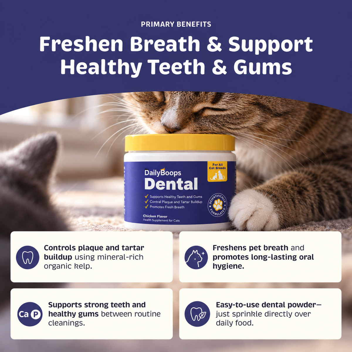DailyBoops Dental Support