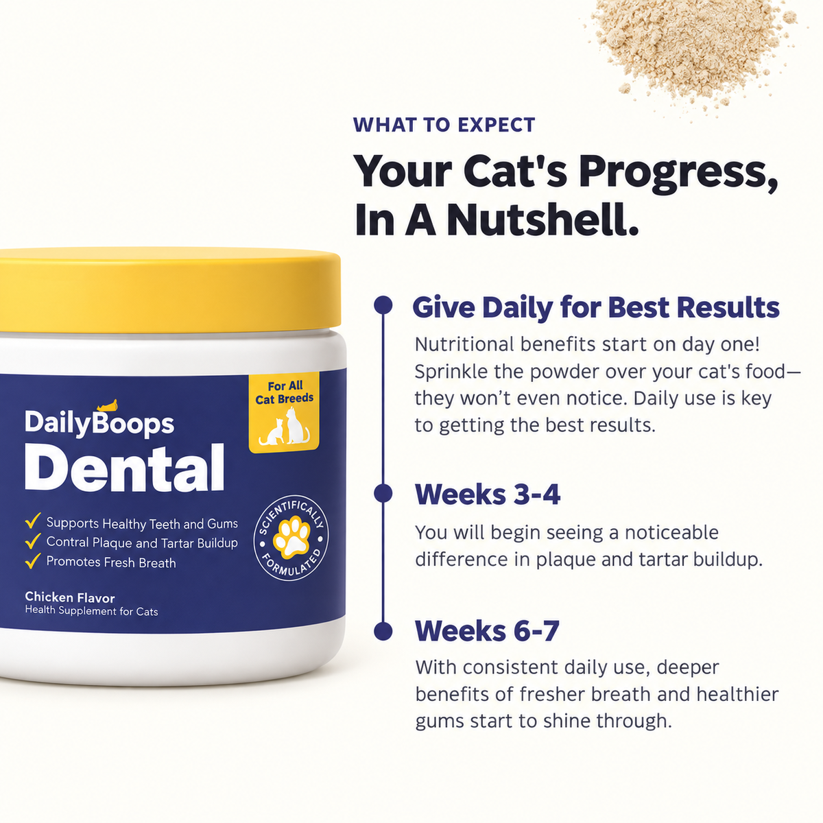 DailyBoops Dental Support
