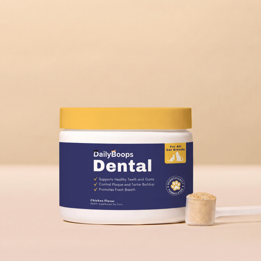 DailyBoops Dental Support